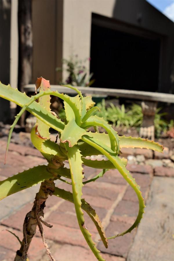 Pta East Guest House Pretoria-Noord Eksteriør bilde